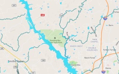 Close to Everything, Miles from Nowhere – Muscogee County – 25.38 Acres